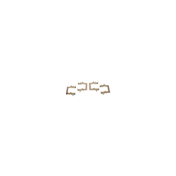 Raybestos R-Line Disc Brake Hardware Kit, H5528A