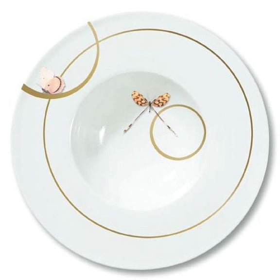 Raynaud Metamorphoses Extra Basic 8 Plate