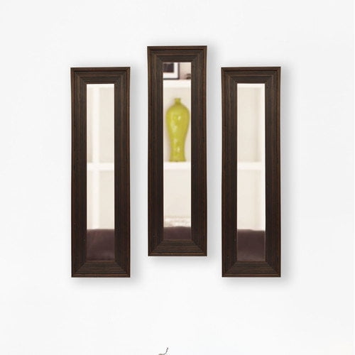 Rayne Mirrors Molly Dawn Dark Brown Barnwood Wall Mirror