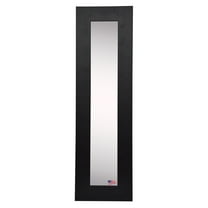 Rayne Mirrors Molly Dawn Wide Satin Wall Mirror