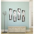 thumbnail image 1 of Rayne Mirrors Molly Dawn Wide Silver Wall Mirror, 1 of 3