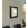 thumbnail image 1 of Rayne Mirrors Solid Black Angle Wall Mirror, 1 of 2
