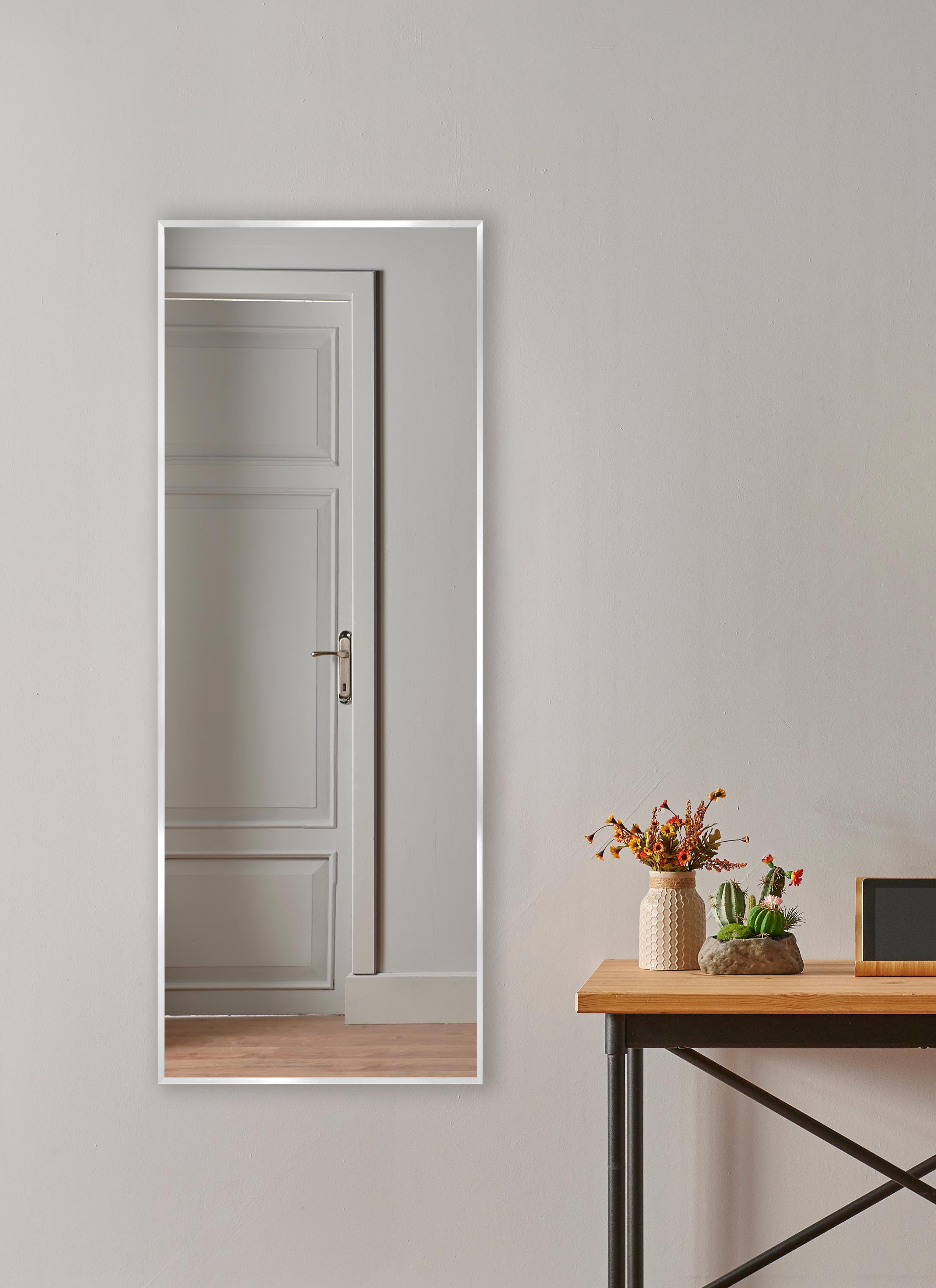 Rayne Romeo Silver Sheen Slender Body Mirror 15.25 x 54.25