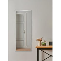 Rayne Romeo Silver Sheen Slender Body Mirror 15.25 x 54.25