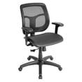 thumbnail image 1 of Raynor Eurotech Apollo Mesh Office Chair Black MMT9300, 1 of 1