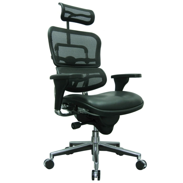 Raynor Eurotech Ergohuman Ergonomic Bonded Leather Mesh High Back Chair Black Chrome Walmart