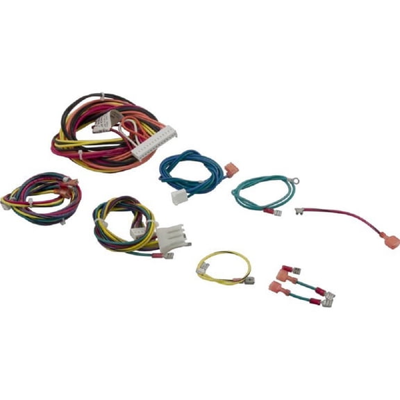Raypak 006738F IID Wire Harness