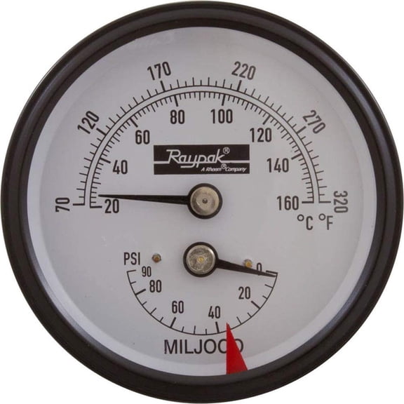 Raypak 007205F Temperature and Pressure Gauge