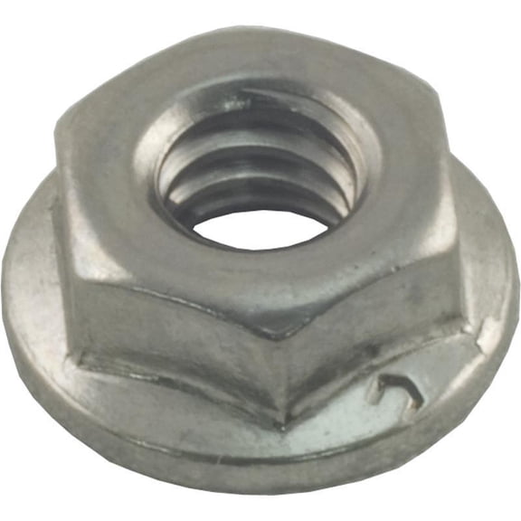 Raypak 008259F Flange Nut