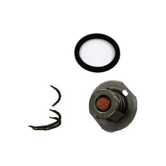 Raypak 062234B Unitherm Governor
