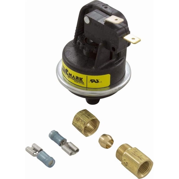 Raypak 062237B Pressure Switch