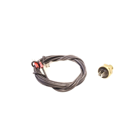 Raypak 600893B 140F Co Auto Limit Switch