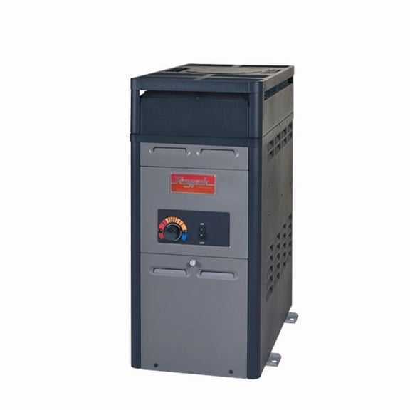 Raypak Analog 106K BTU Propane Pool Heater - Copper - P-R106A-AP-C | 014781