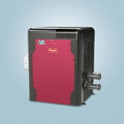 Raypak Avia 264K BTU Propane Pool Heater - NiTek Heat Exchanger - P-R264A-EP-N | 018050