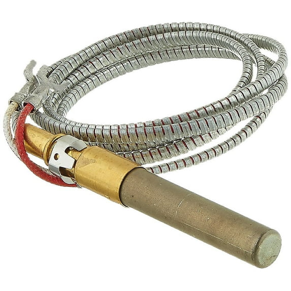 Raypak 600019B Pilot Generator for Pool Heaters