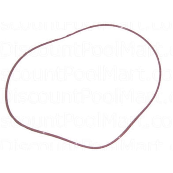 Raypak Header Gasket O-Ring