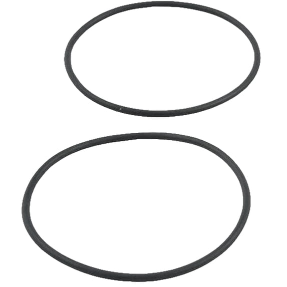 Raypak 006724F O-Ring Inlet/Outletpool Kit