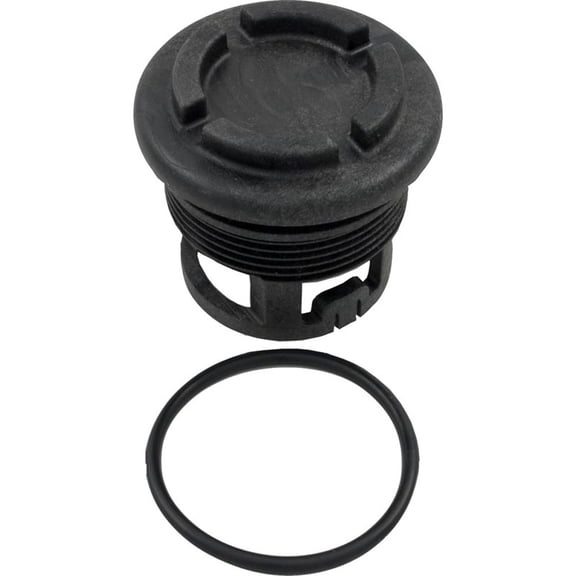 Raypak Parts 006720F Unitherm Governor Plug