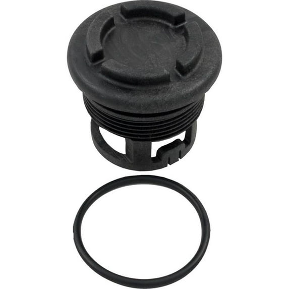 Raypak Parts 006720F Unitherm Governor Plug