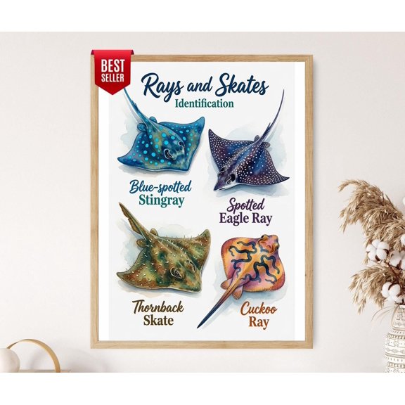 Rays And Skates Identification Poster, Life Educational Wall Art , Poster Print Only