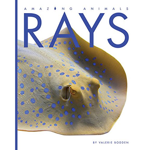 Pre-Owned Rays (Paperback) 1628324988 9781628324983