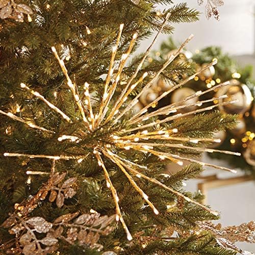 Raz 23" Champagne LED Lighted Starburst with Remote Christmas Decorations