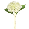 thumbnail image 1 of Raz Imports, 20" Real Touch Hydrangea - Light Green (F4022626), 1 of 1
