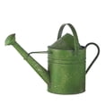 thumbnail image 1 of Raz Imports Boxwood 18.25" Green Watering Can, 1 of 1