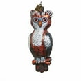 thumbnail image 1 of Raz Imports EC Give a Hoot Ornament, 4.75-inch Height, Gift, Home D√©cor, Any Occasion, 1 of 1