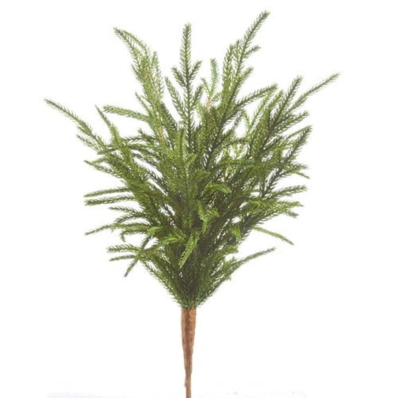 Raz Imports Norfolk Pine Soft Touch 18" Plastic Floral Picks