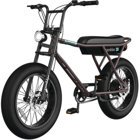 Razor Rambler 20 Class 2 Retro Style 500W Adult Electric Bike, up to 19.9 mph & 16 Miles of Range