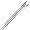 thumbnail image 1 of Razor Rz350 Carbon Arrow, 31-Inch, 3-Pack, Black, 1 of 11