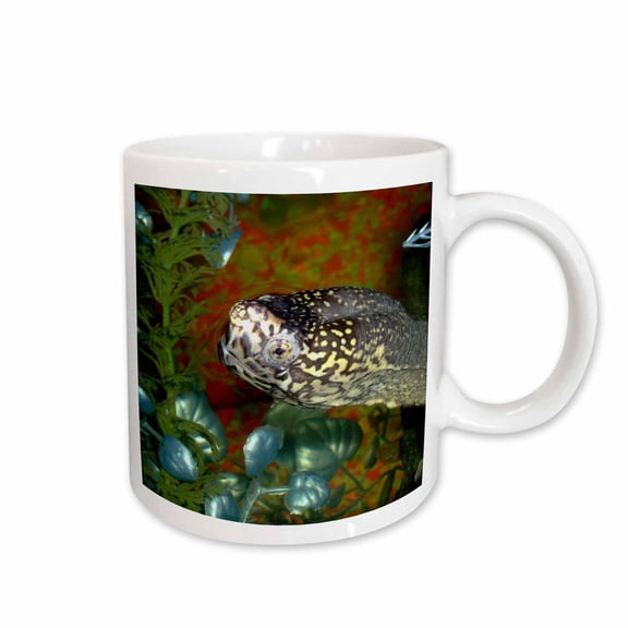 3drose, Razorbacked Musk Turtle Head Color in Aquarium, 15oz Mug