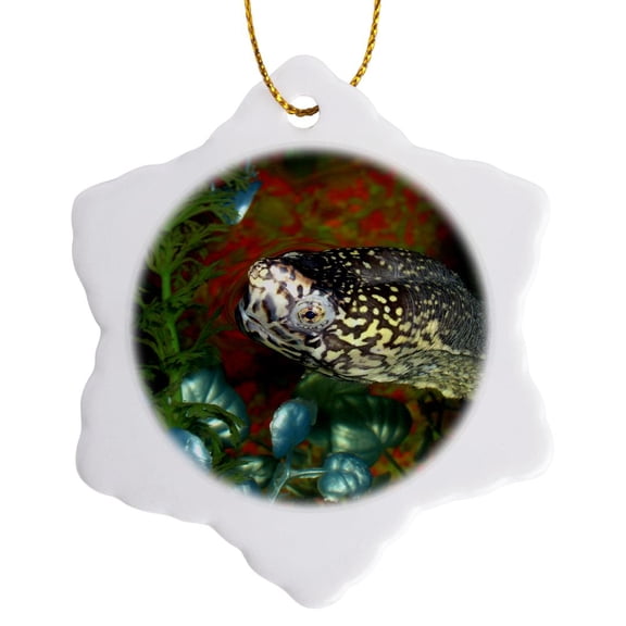 3drose, Razorbacked Musk Turtle Head Color in Aquarium, 3 inch Snowflake Porcelain Ornament