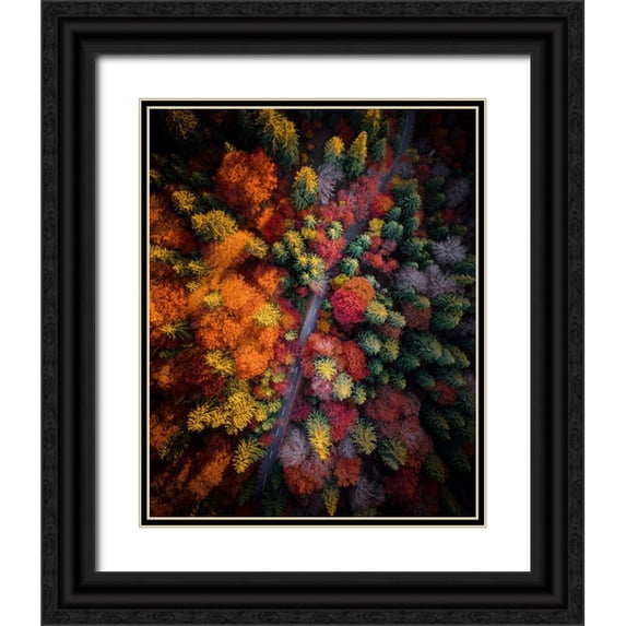 Razvan 15x18 Black Ornate Wood Framed with Double Matting Museum Art Print Titled - Fall stories