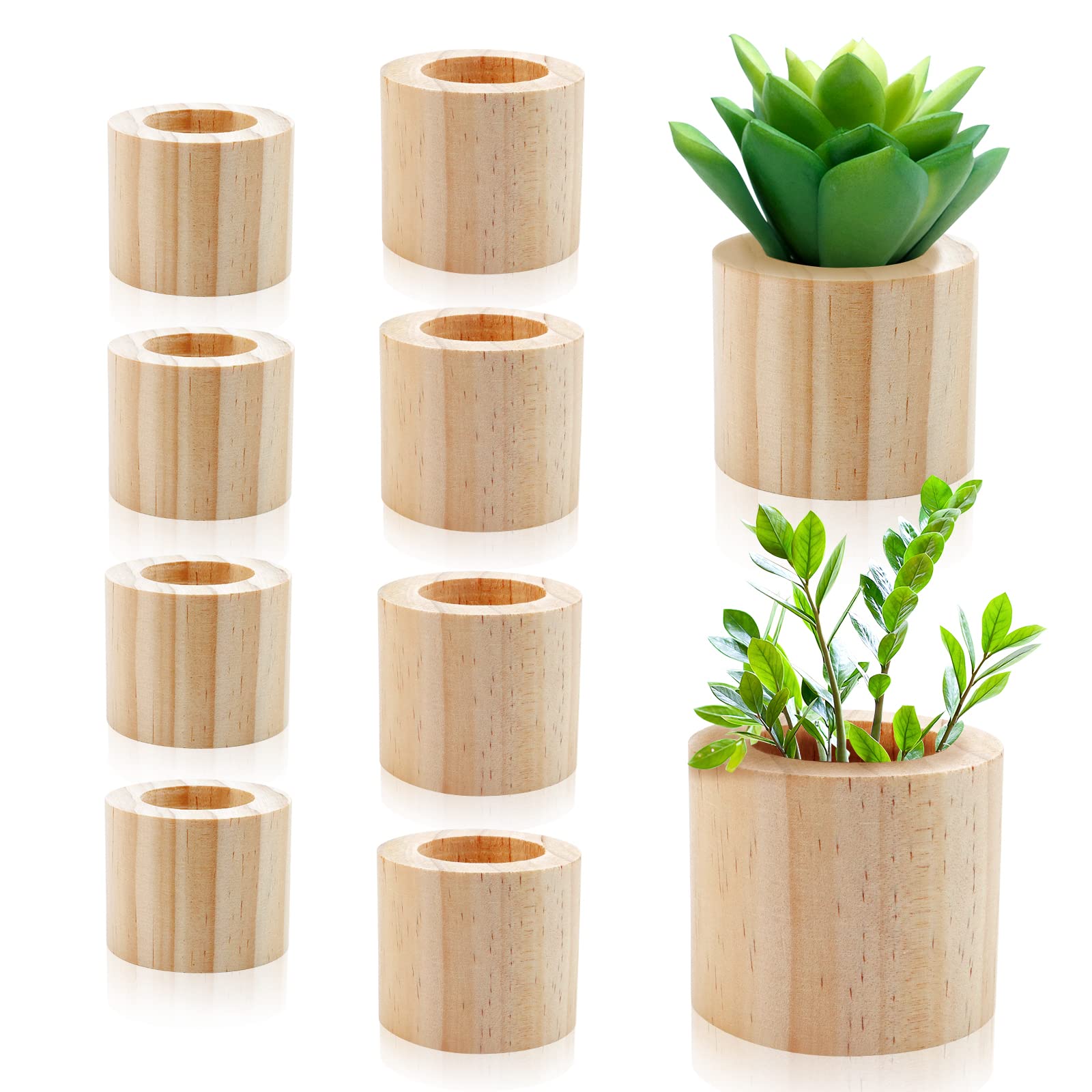 Rcybeo 8 Pack Wooden Air Plant Holder 2 Sizes Rustic Style Air Plants Holders Air Plant Pots