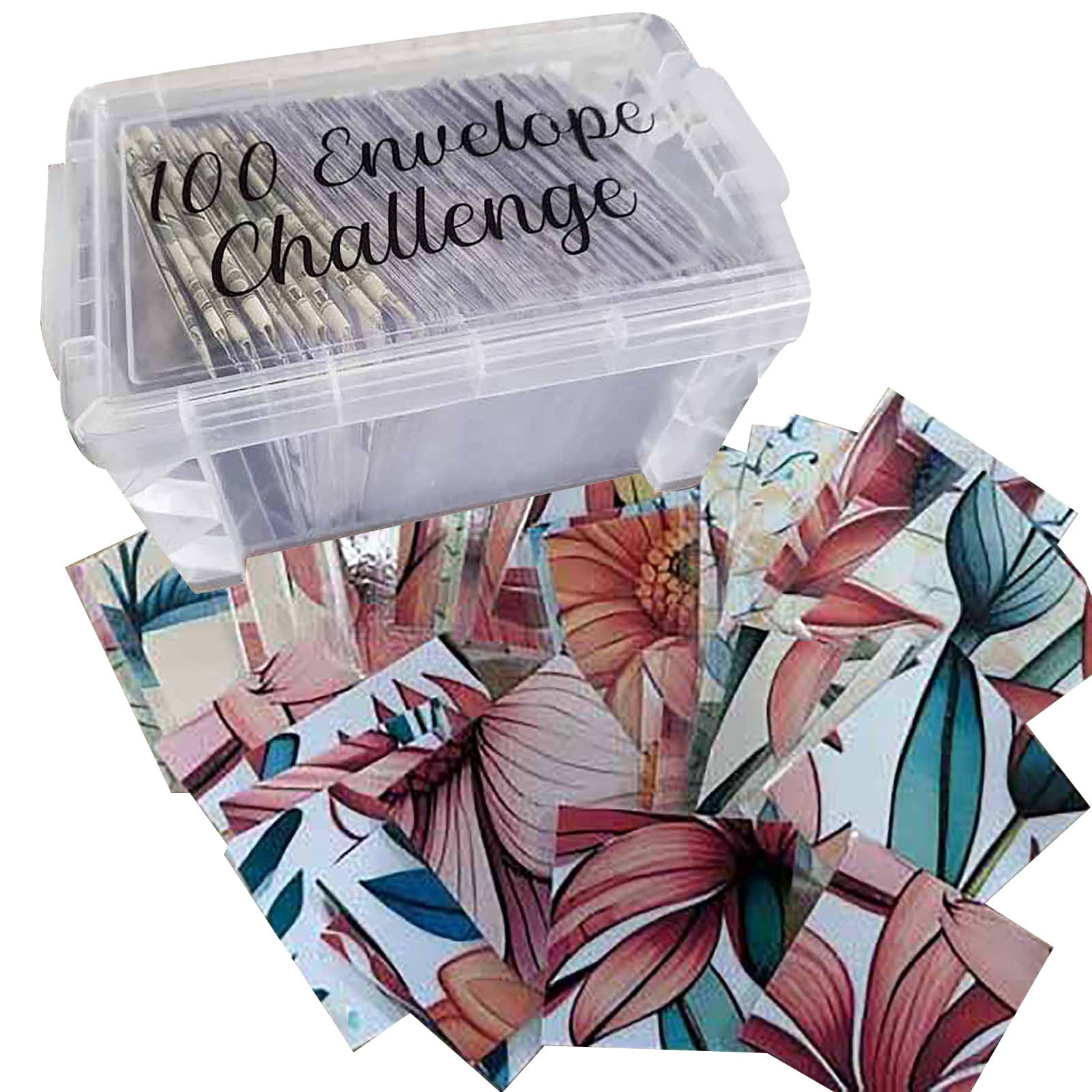 Rdeuod 100 Envelope Challenge Box Set, 5050$ Money Saving Challenge Kit ...