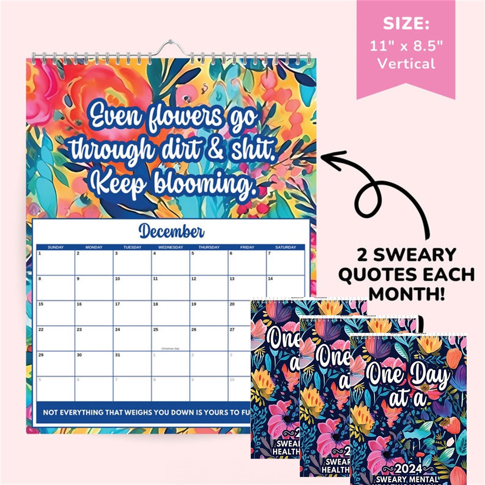 Rdeuod 3PCS 2024 Mental Health Calendar Funny Sweary Calendar 2024 Wall