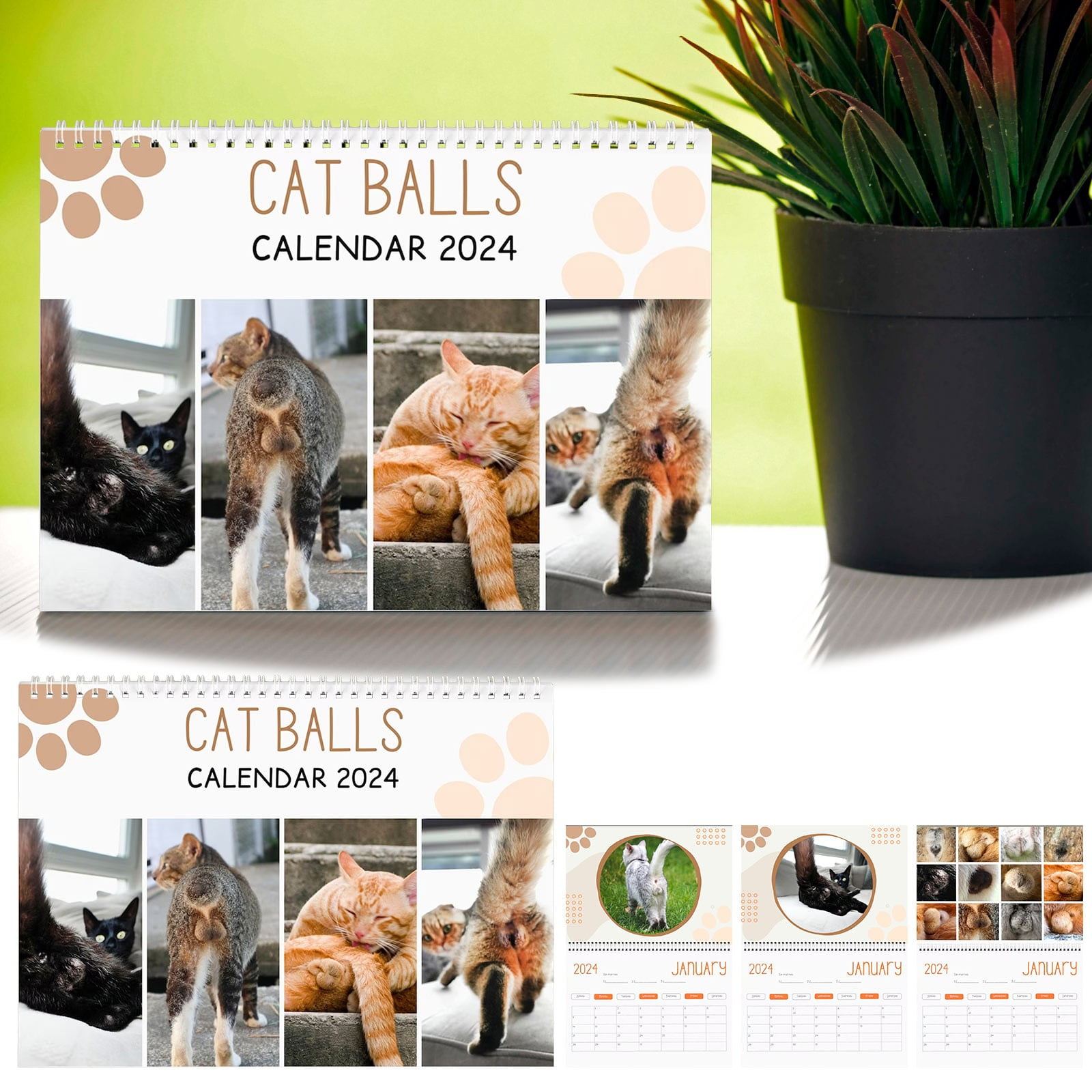 Rdeuod Cat Balls Calendar 2025, Funny Cat Butt Wall Calendar 2025