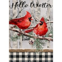 Rdsfhsp Home Decorative Hello Winter Cardinals Garden Flag Black White Buffalo Plaid Check House Yard Flags Outside Decoration Christmas Farmhouse Outdoor Small Decor Double Sided 12x18 Inch