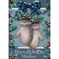 thumbnail image 1 of Rdsfhsp Warm Winter Wishes Gloves Decorative Garden Flag, Farmhouse Yard Flags for Outside Decorations, Christmas Winter Outdoor Small Decor 12x18, 1 of 5