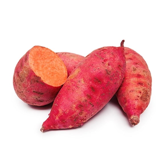 Re Garnet Sweet Potato Slips for Growing - Easy to Grow, Red Yams (3 Slips)