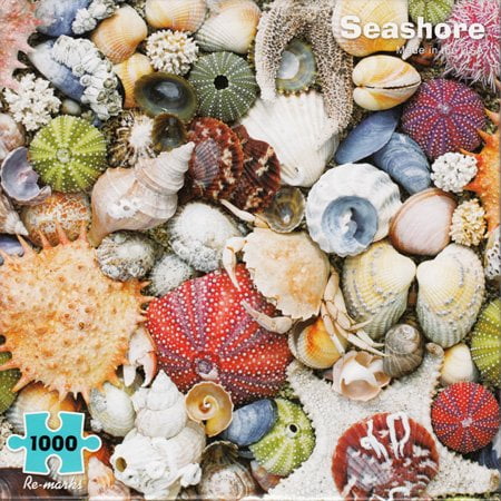 Re-Marks Seashore Puzzle, 1000 Piece