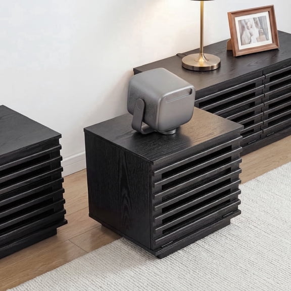 ReNest Modern LED TV Stand with Storage, 1 Doors, Low Profile Entertainment Center, Media Console with Fluted Design for TVs up to 21 Inch, Black