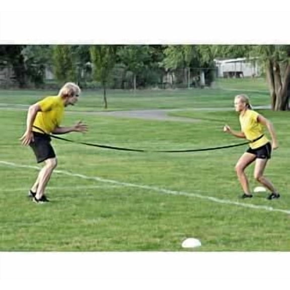 Reaction Shadow Belt?