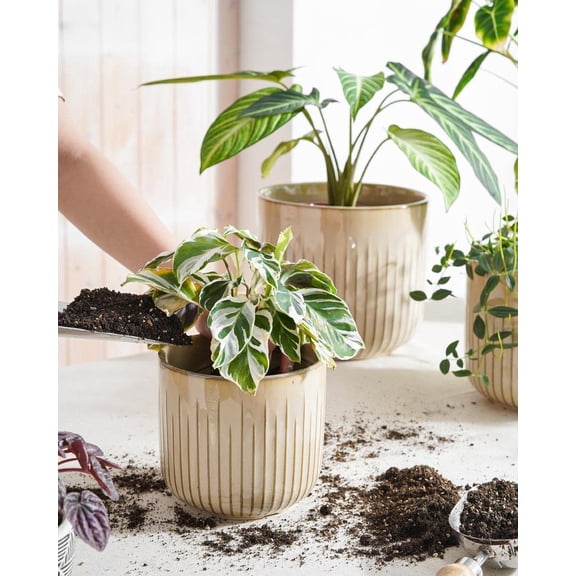 Fluted Ceramic Planters Set of 3 8.3/7 / 5.7 in Cloud Cream Reactive Cylinder Indoor Plant Pots with Drainage Plug & Mesh