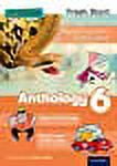 Read Write Inc. Fresh Start: Anthology 6 - Walmart.com