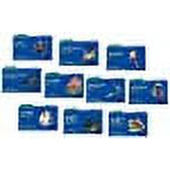 Read Write Inc. Phonics: Blue Set 6 Storybooks Pack Of 100