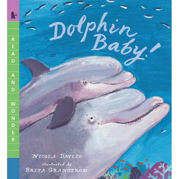 Read and Wonder: Dolphin Baby! : Read and Wonder (Paperback)