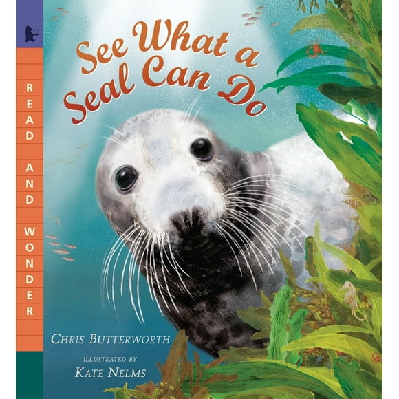 Read and Wonder: See What a Seal Can Do : Read and Wonder (Paperback)
